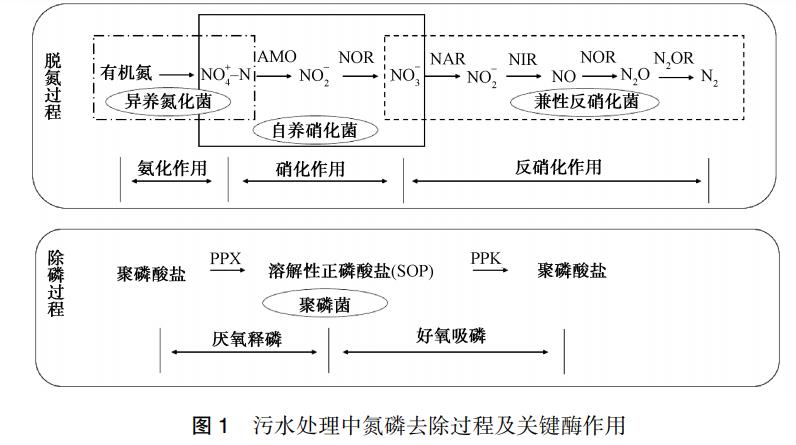 污水處理設(shè)備__全康環(huán)保QKEP