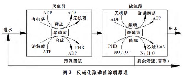 污水處理設(shè)備__全康環(huán)保QKEP