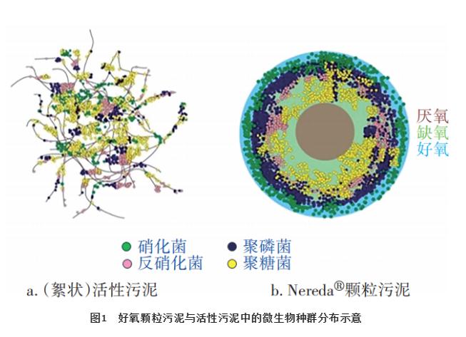 污水處理設(shè)備__全康環(huán)保QKEP